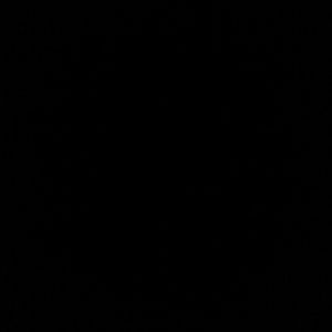 Meet your Posher, Tanaia